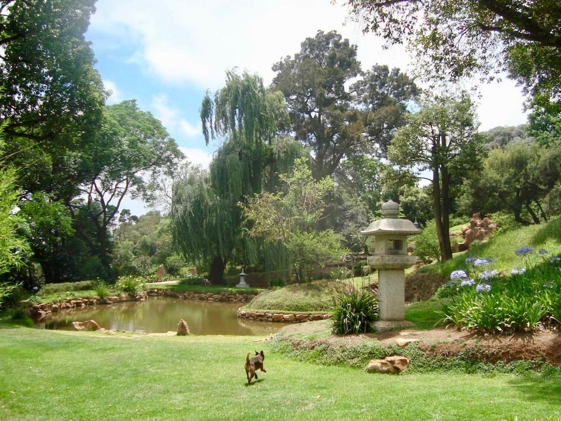 Brenthurst Gardens - Lucille Davie - 2004