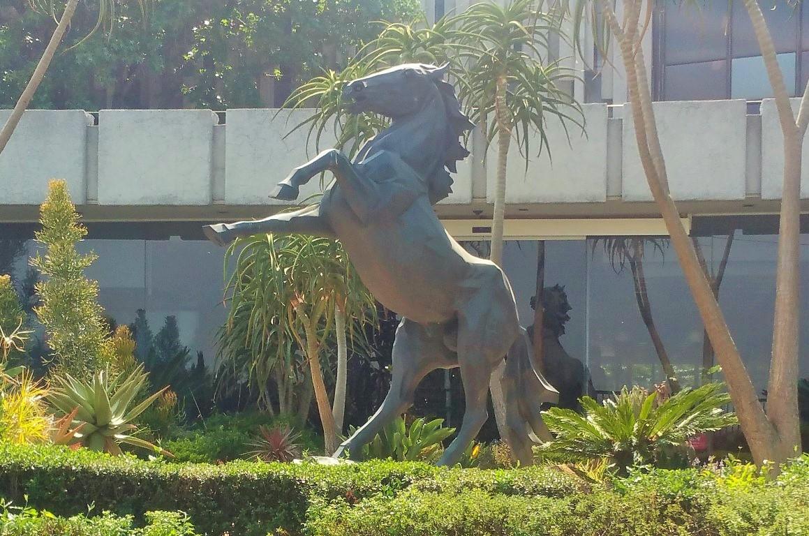 Remembering Sandton S Famous Stallion The Heritage Portal