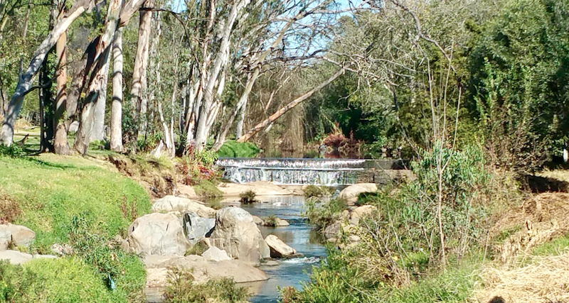 Braamfontein Spruit near the Field and Study Centre - Heritage Portal - 2018