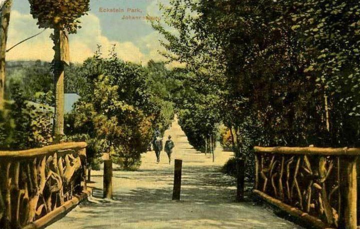 Old Postcard of the Johannesburg Zoo
