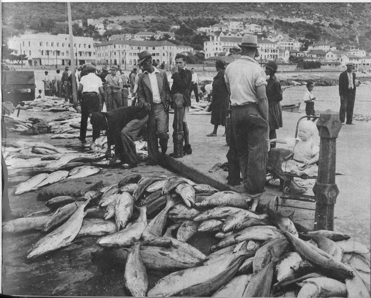 Fishing in Kalk Bay via KBHA