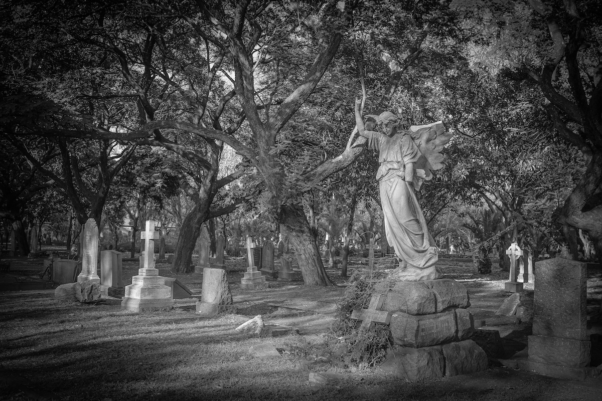 Angel at Braamfontein Cemetery - Liz Haines