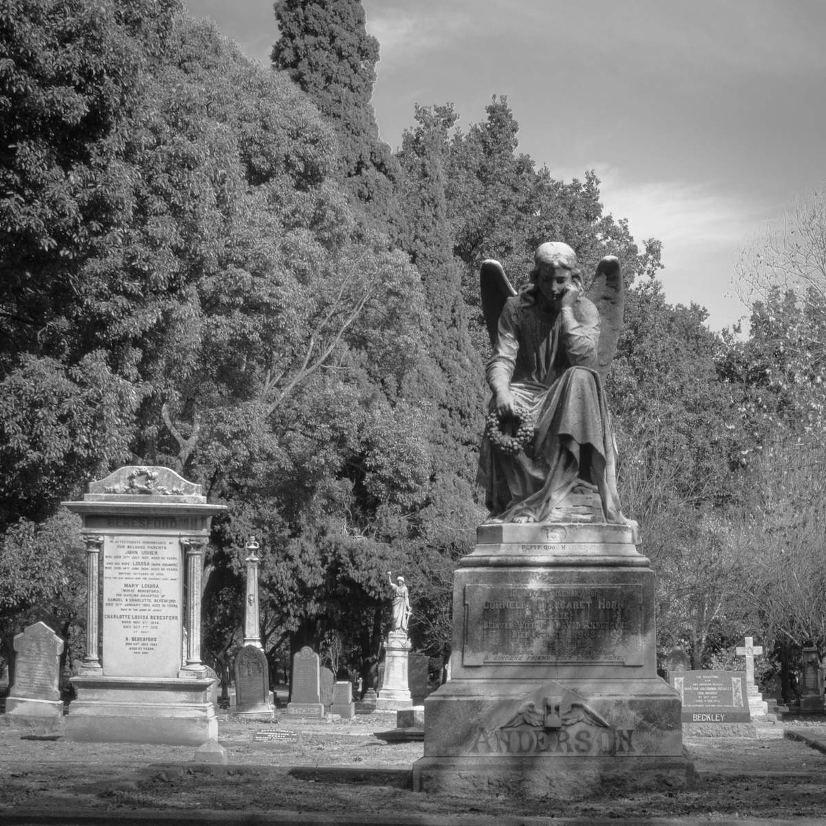 Angel at Braamfontein Cemetery - Liz Haine