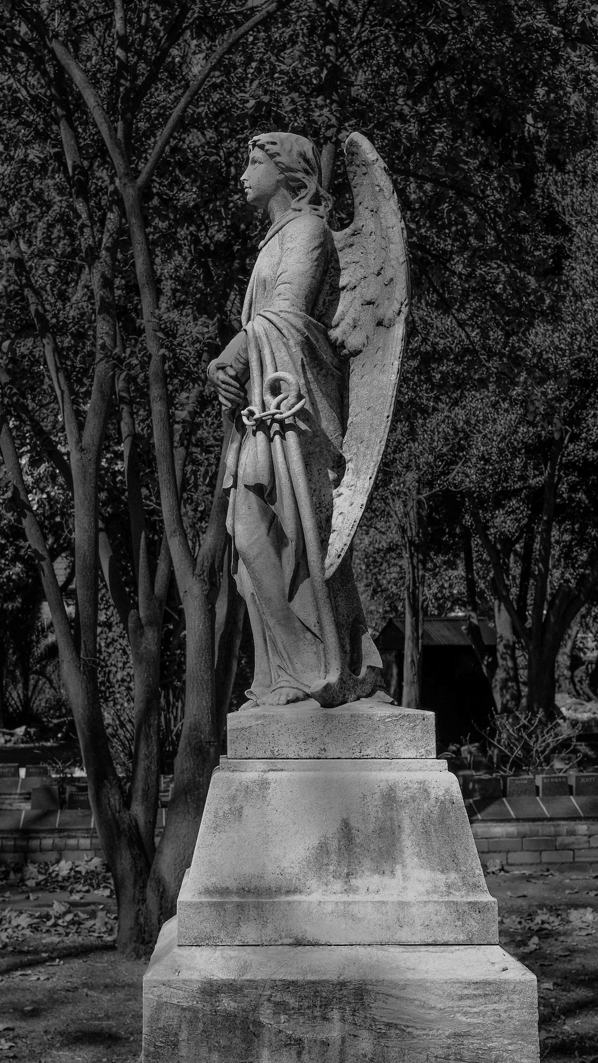 Angel at Braamfontein Cemetery - Liz Haines