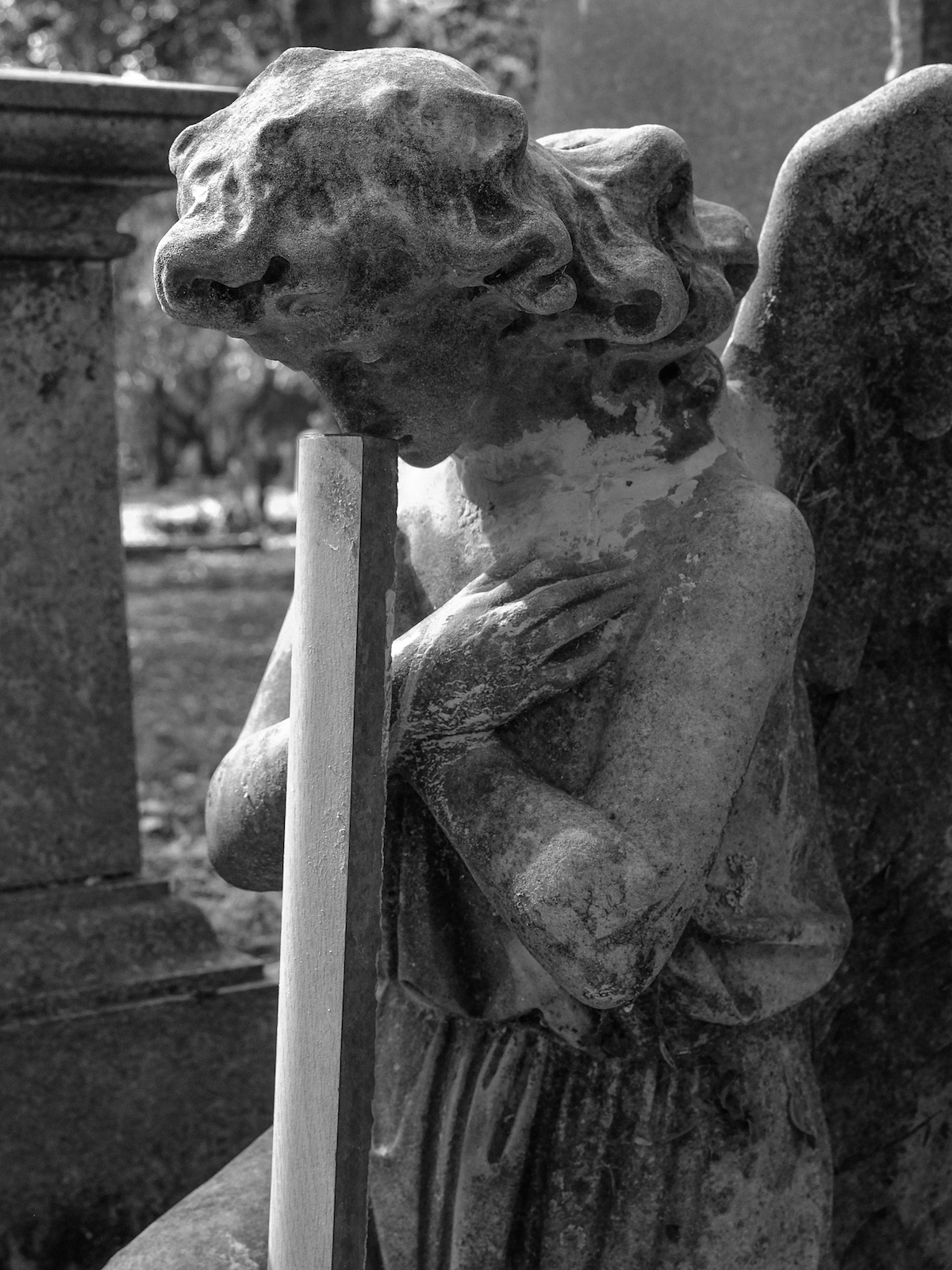 Angel at Braamfontein Cemetery - Liz Haines