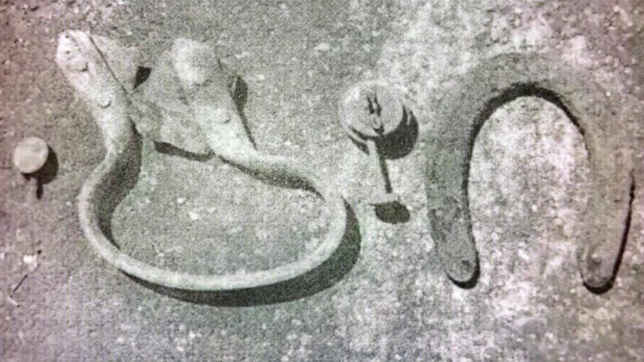 Some of the artifacts recovered during construction work in Bryntirion