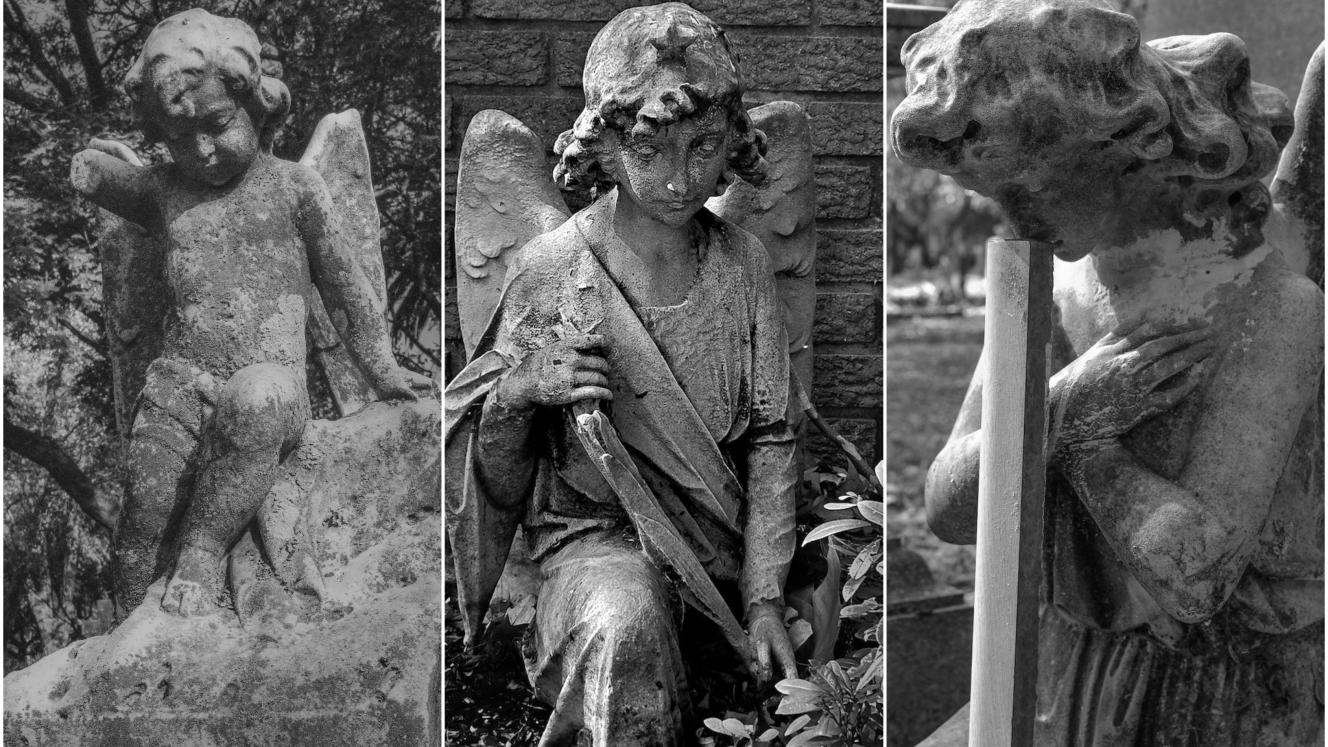 Angels of Braamfontein Cemetery - Liz Haines