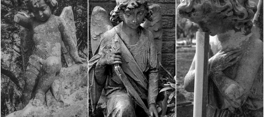 Angels of Braamfontein Cemetery - Liz Haines