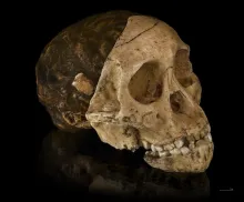 Taung Child via Wikipedia