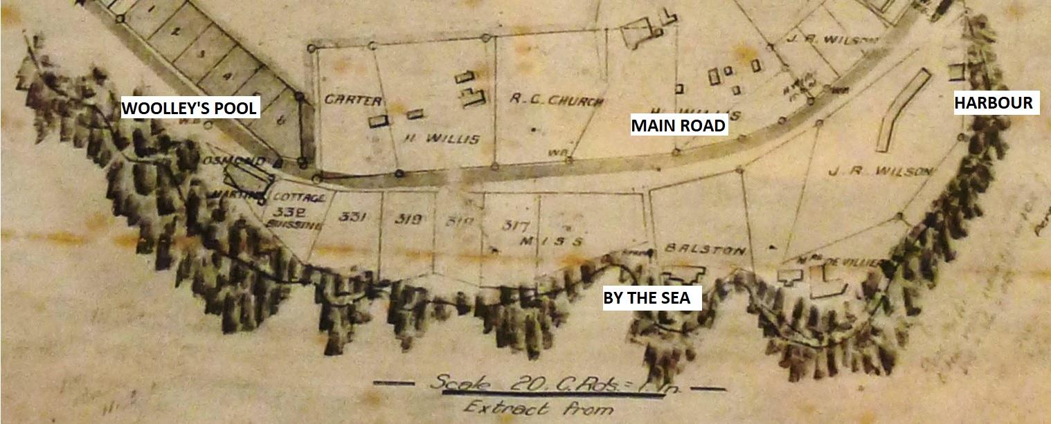 1885 - 89 Tennant survey Liddell crop final via Steve Herbert
