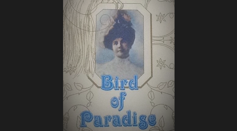 Bird of Paradise - book cover