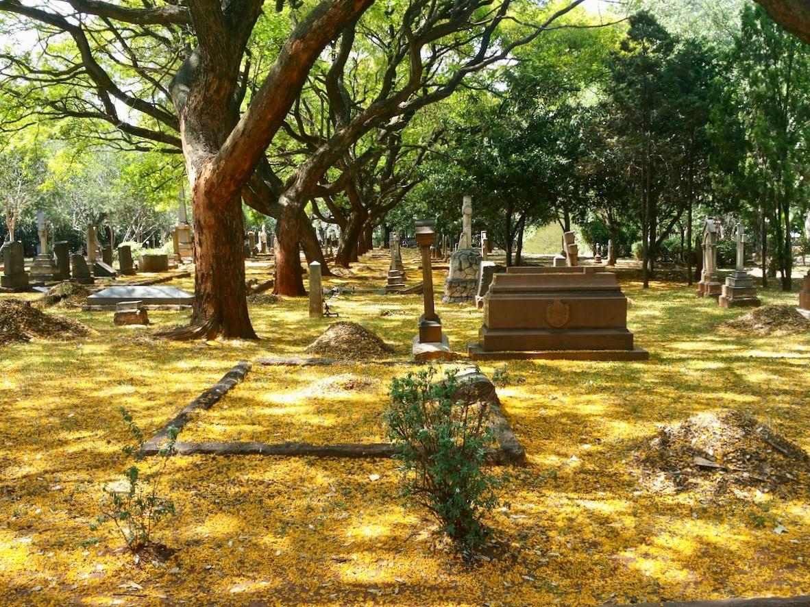 Braamfontein Cemetery - Heritage Portal - 2018