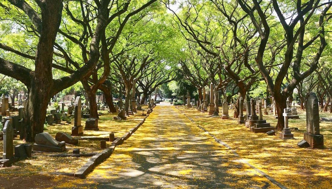 Braamfontein Cemetery - Heritage Portal - 2018