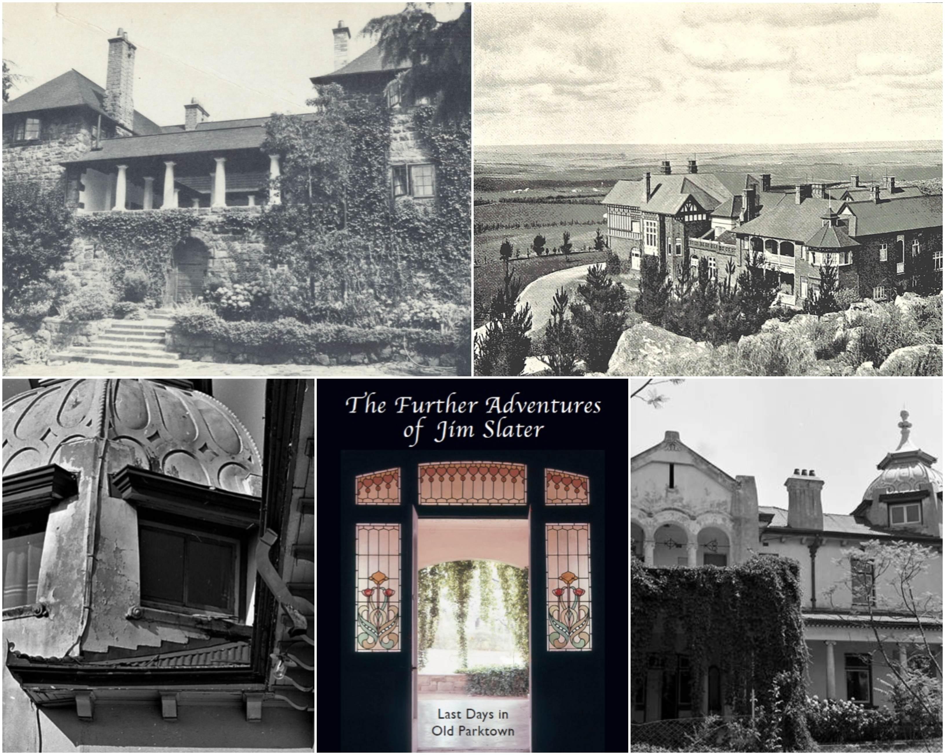 Last Days of Parktown Review Banner