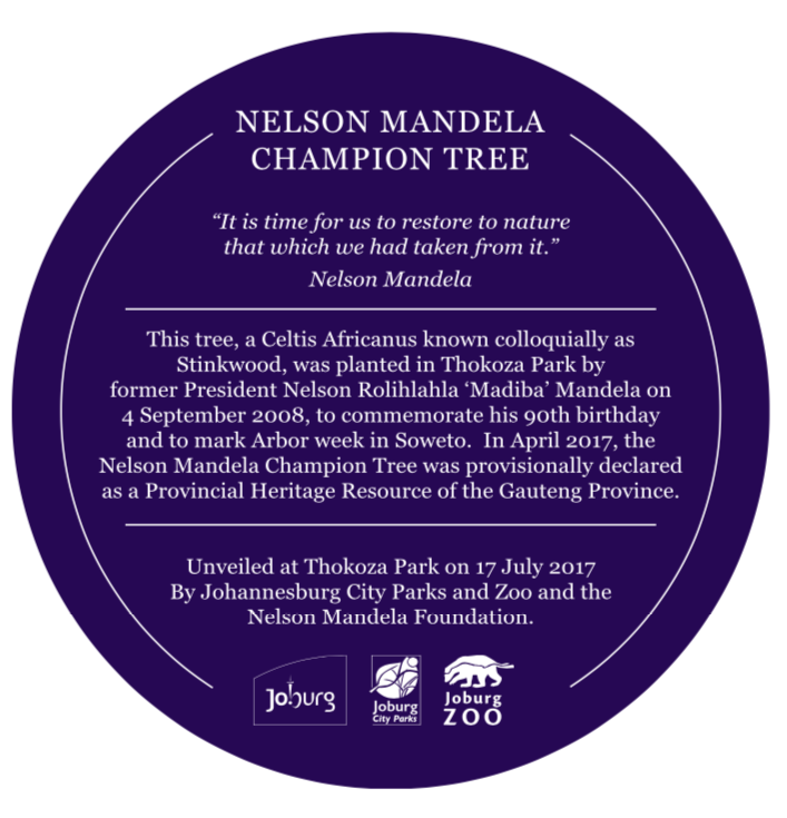 Nelson Mandela Champion Tree Blue Plaque Design - City of Joburg