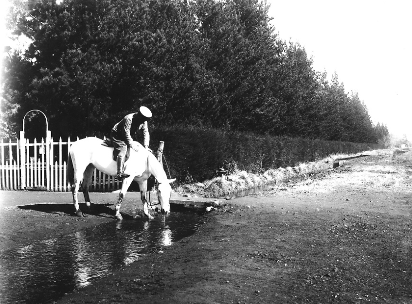 Photograph at the entrance of Alexandra Park - August DAnge DAstre