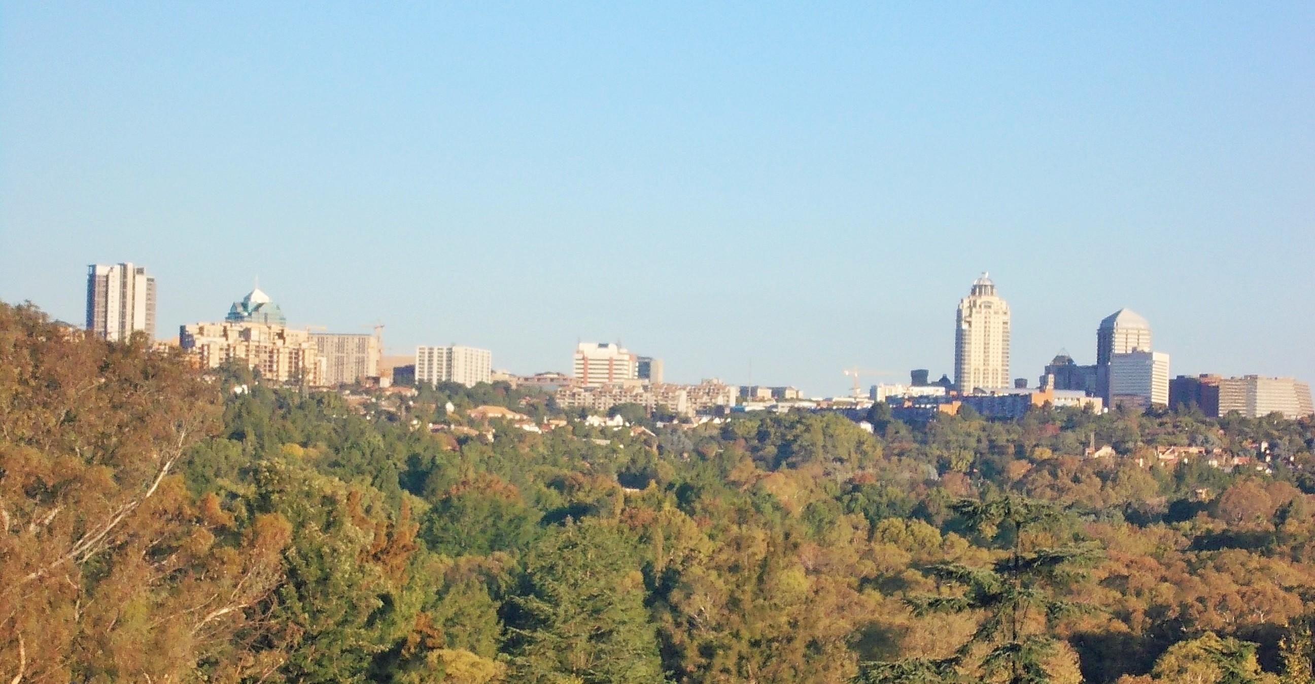 Modern Day Sandton circa 2014 - The Heritage Portal