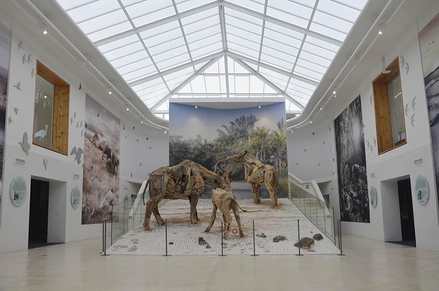 West Coast Fossil Park via Chris Murphy