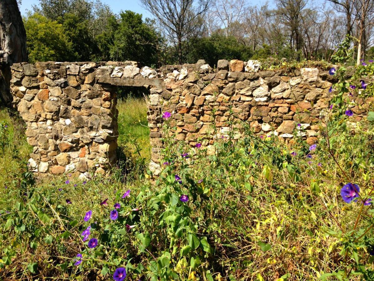 Wilhelmi Stable - Heritage Portal - March 2015