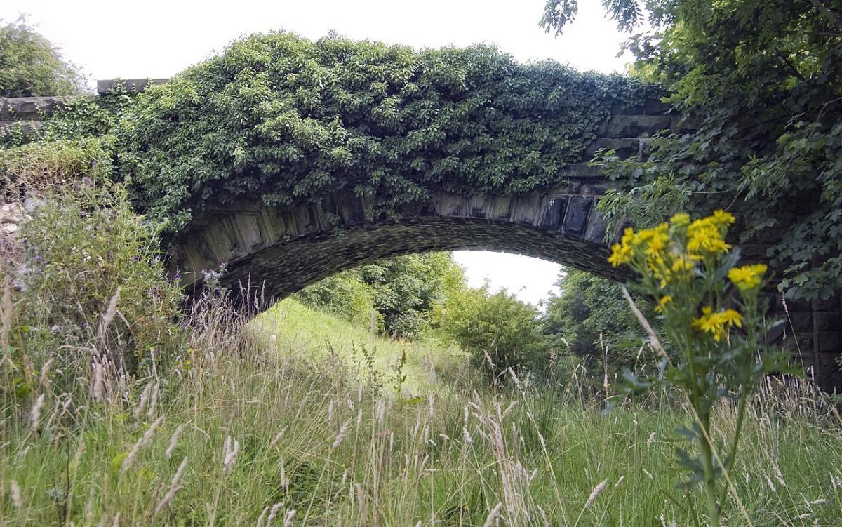 Abandoned stone bridge Otley via Wikipedia