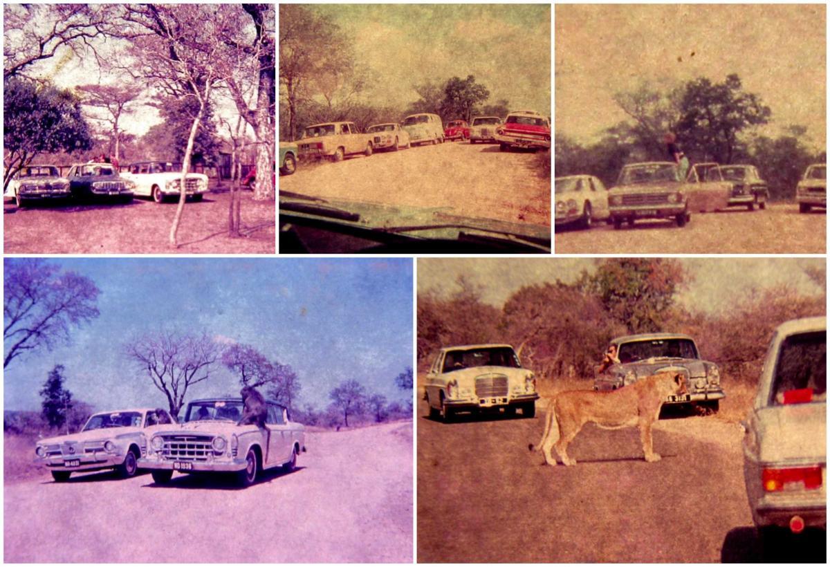Classic Cars in Kruger Banner - Denis Strever