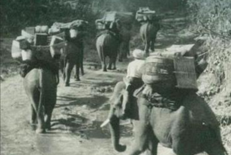 Elephant Company book cover