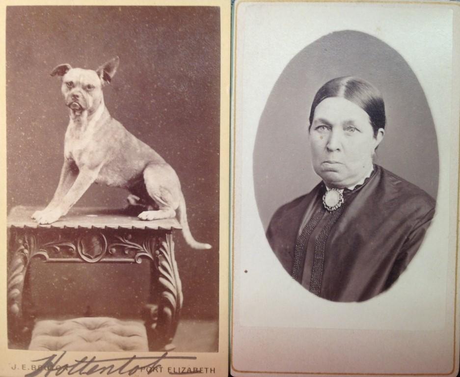 Firm expression dog and lady - via Carol Hardijzer