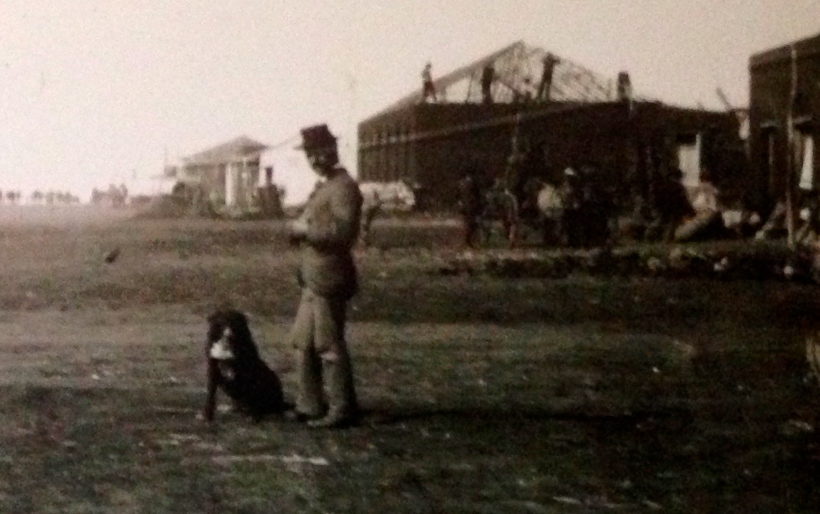 First Dog Joburg - Johannesburg Firsts Exhibition - Museum Africa - Photographed August 2015