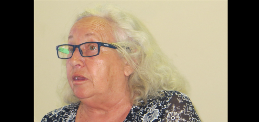 Flo Bird Speaking at the HASA Symposium 2017