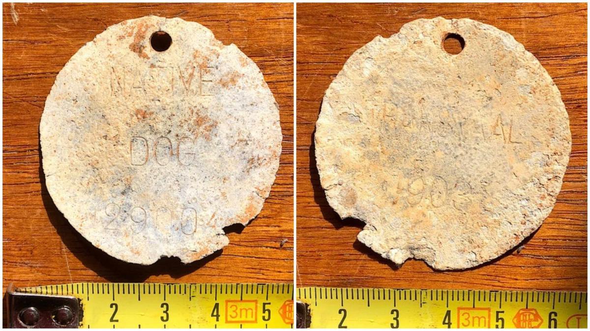 Haenertsburg dog tags via Rob Burrett