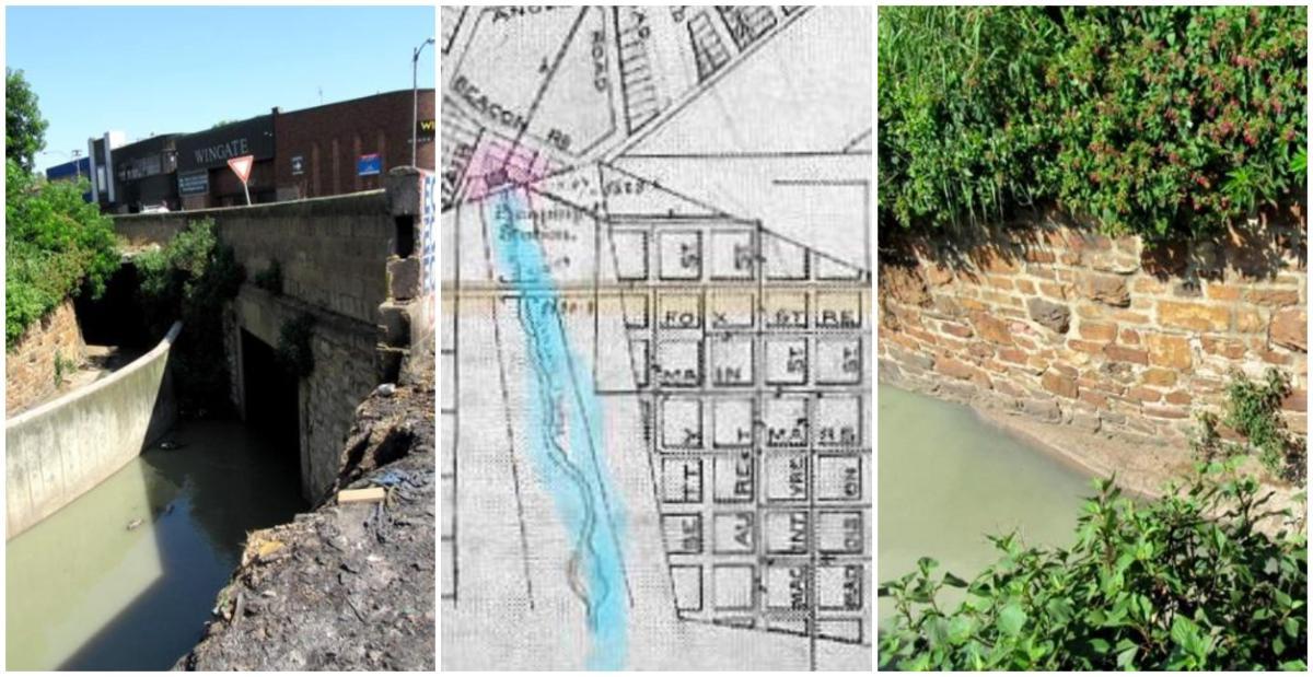 Joburg Stream Article - Sue Taylor