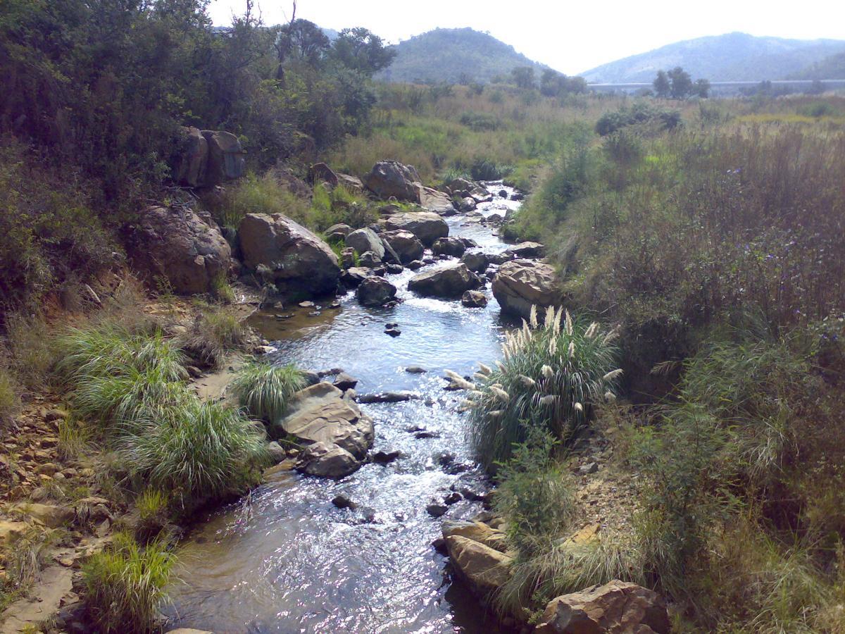 Klipriviersberg - Lucille Davie