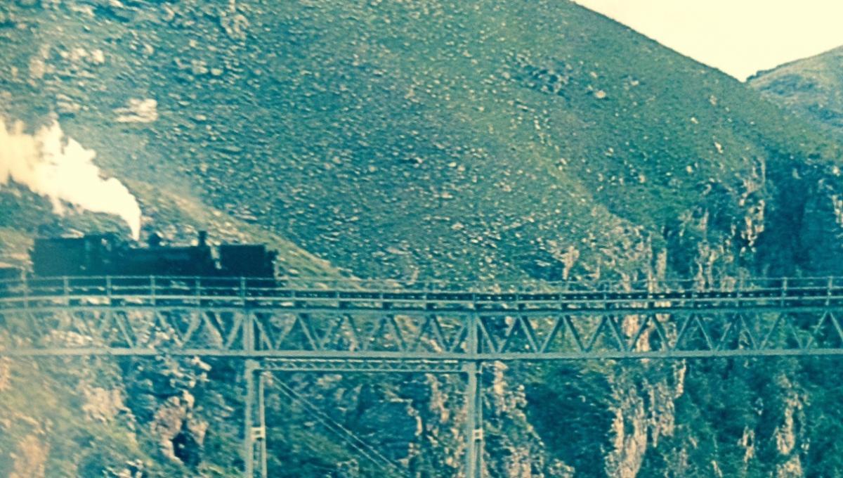 Locomotive moving across Van Stadens Bridge