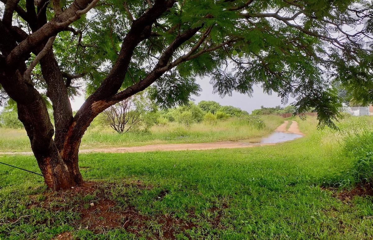 Natural area of Saints where PWV3 would have gone - Heritage Portal - 2019