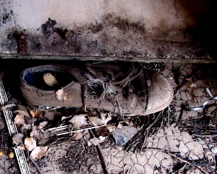 Old shoe Sunnyside Campus House - Sue Taylor