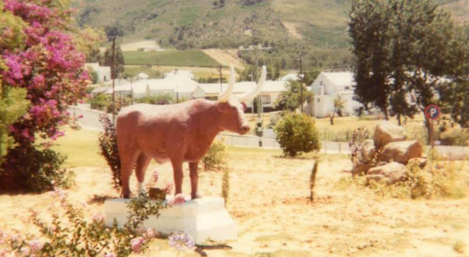 Red Ox Riebeek Kasteel - Basson Family - 1983