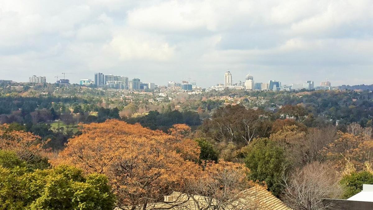 Sandton Skyline - Heritage Portal - 2017