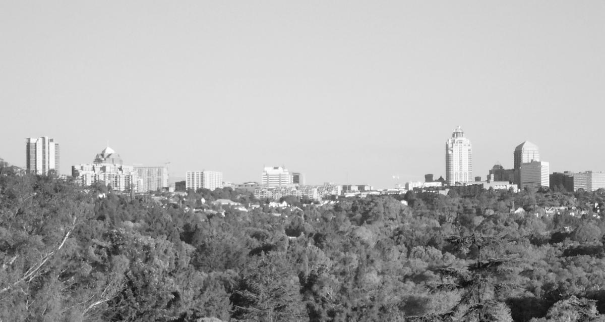 Sandton from Bryanston - The Heritage Portal - 2013