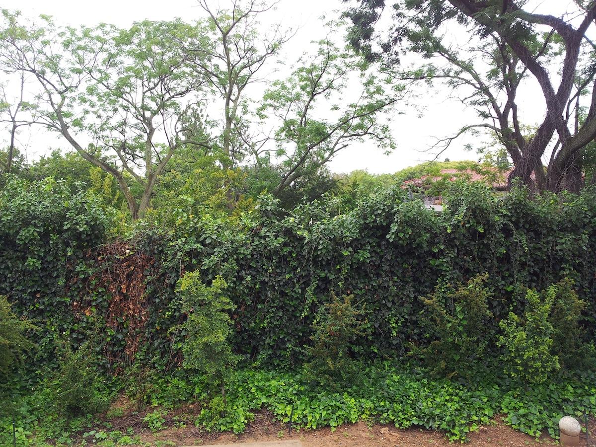 Site of first shop Rivonia - Heritage Portal - 2013