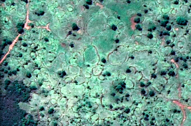 Small section of the stone walling at Molokwane - Google Maps