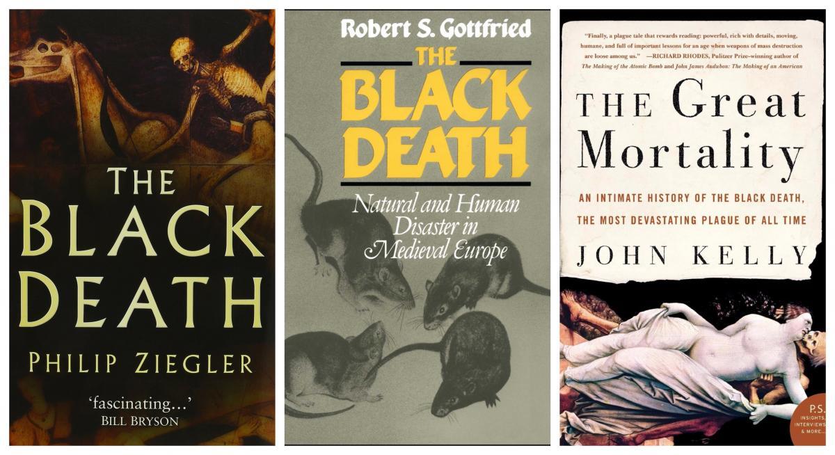 Three Books on the Black Death - Banner