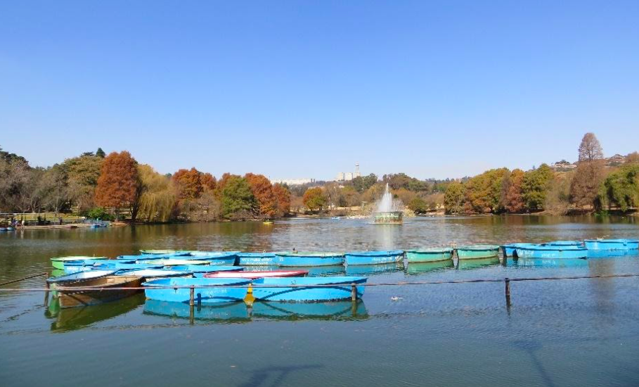 Zoo Lake and Boats - Kathy Munro 2021