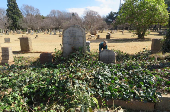 Clearing back the ivy at Brixton Cemetery - Kathy Munro - 2017