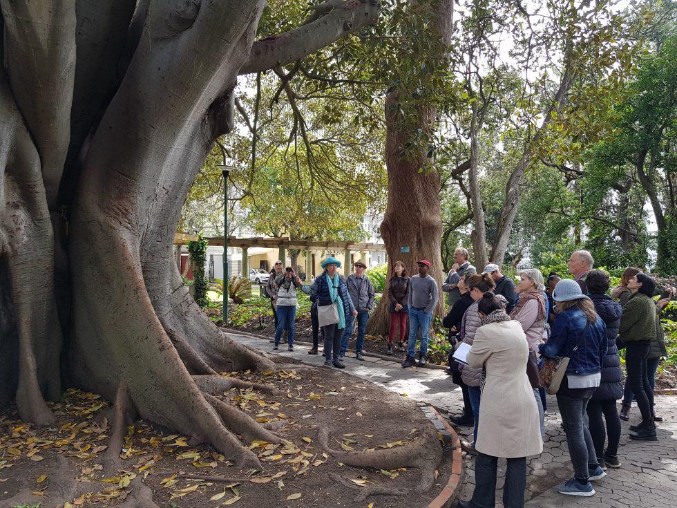 Companys Garden Tour witha focus on trees - Culture Connect