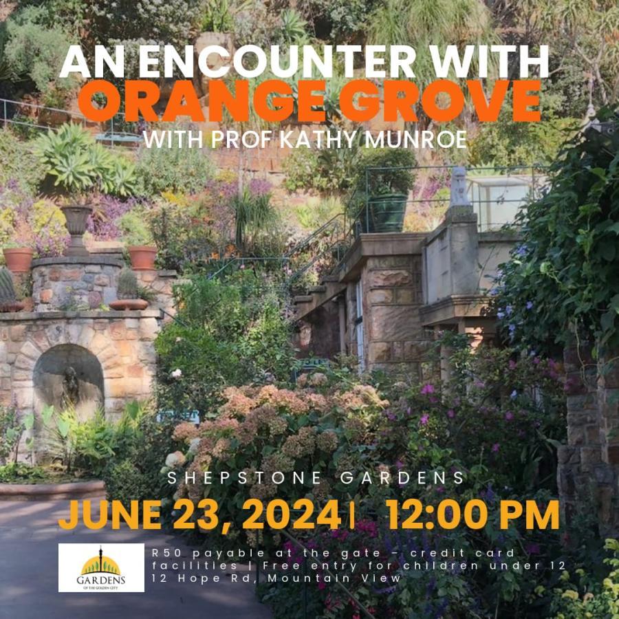 Encounter with Orange Grove - 23 June 2024
