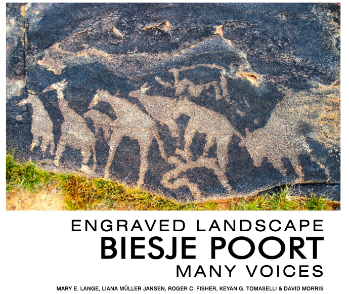 Engraved landscape - Biesje Poort Many voices - Book Cover