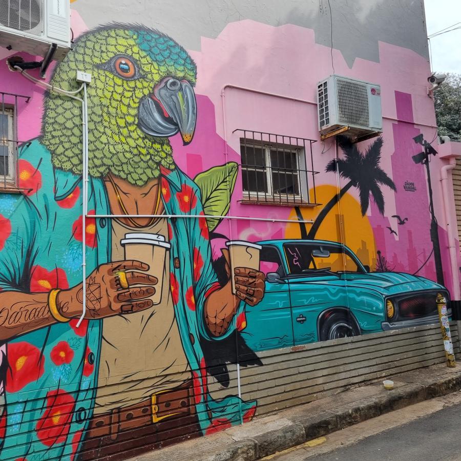 Florida Road Graffiti - Durban Walking Tours