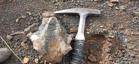 Fossil Trip image - Friends of Iziko Museum