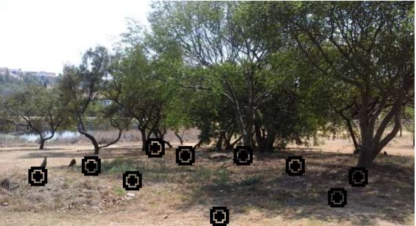 Graves found at Innesfree Park Sandton - City Parks - September 2017