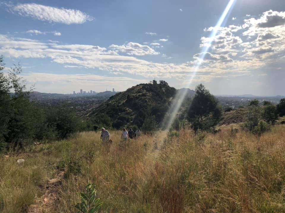 Harvey Nature Reserve - Johannesburg Heritage Foundation